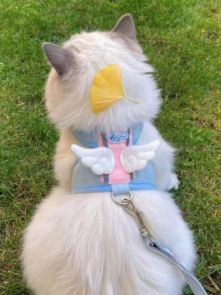 Cat leash Walking cat leash anti-break out special vest walking cat leash cat pet supplies